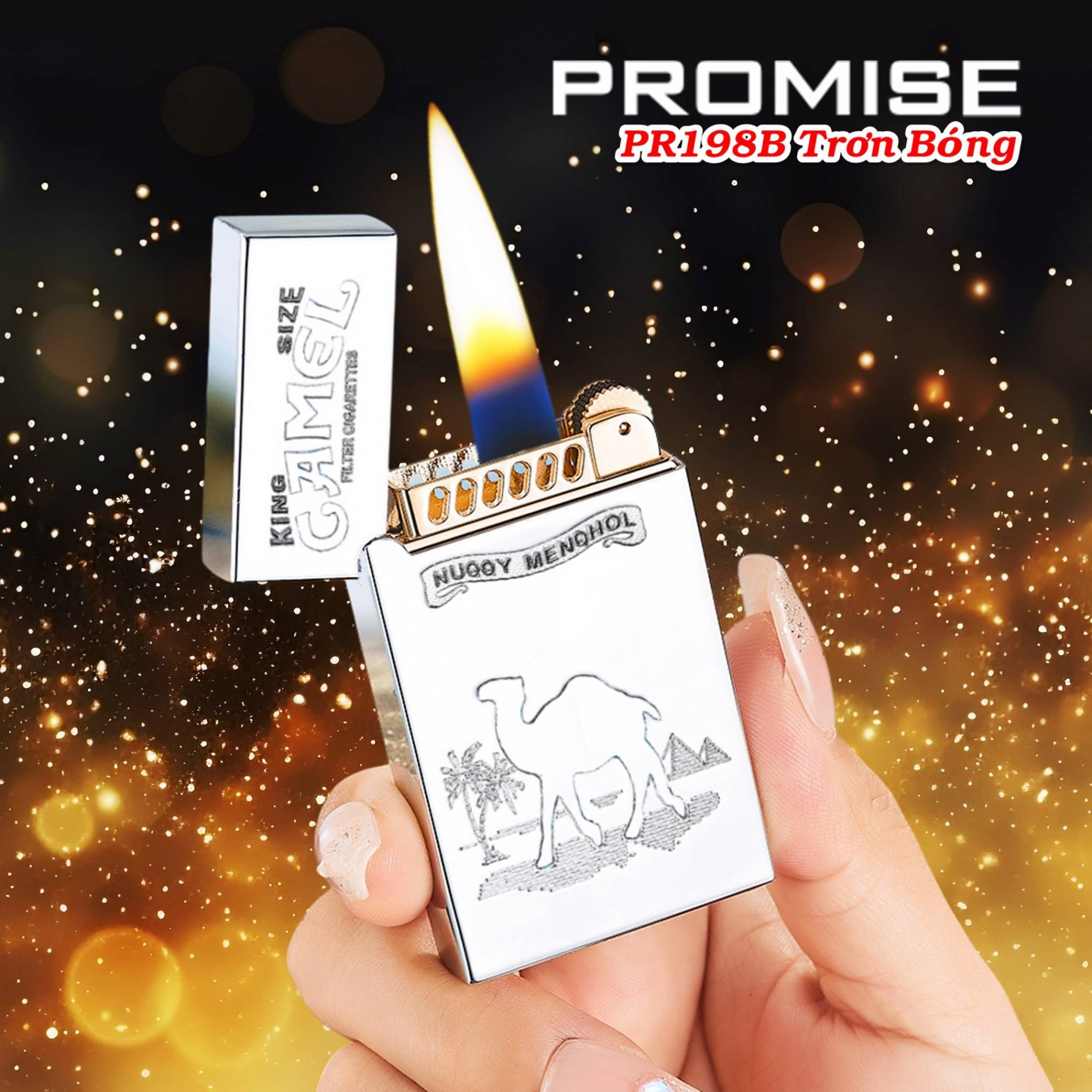 promise_198b_3