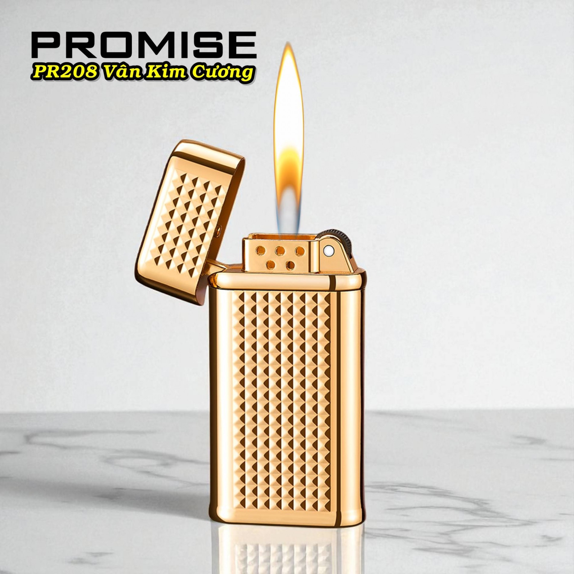 promise_208_5
