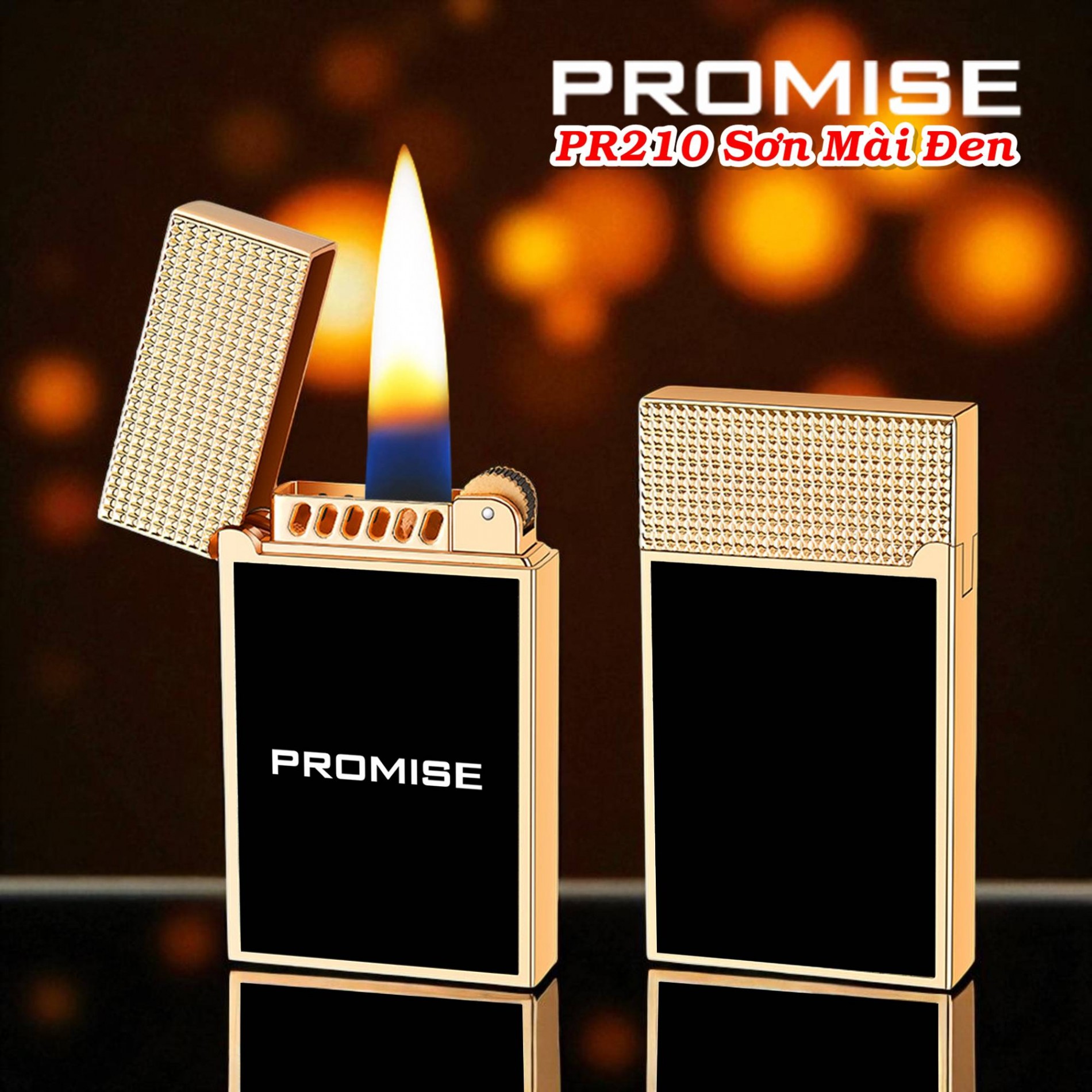 promise_pr210_5